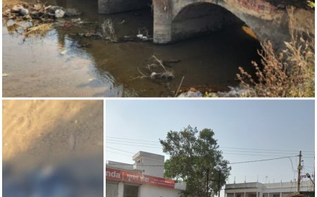 नहर में मिली अज्ञात युवक की लाश, पुलिस जांच में जुटी