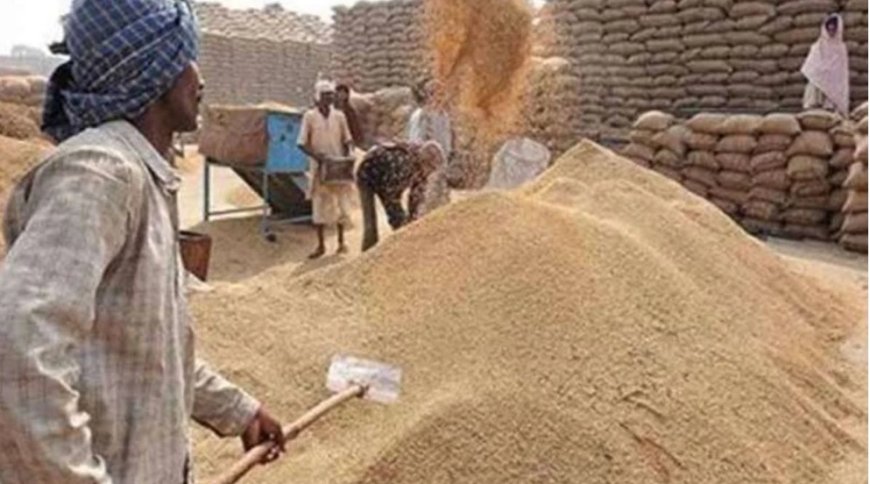 छत्तीसगढ़ में धान खरीदी के लिए ‘तुहर टोकन मोबाइल एप’ शुरू, घर बैठे मिलेगा टोकन