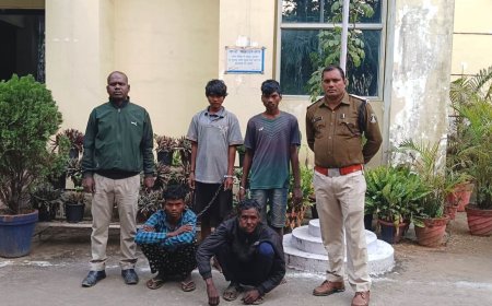 जानलेवा करंट बिछाकर शिकार करने से हुई दो मौत, चक्रधरनगर पुलिस ने एक नाबालिग सहित पांच आरोपियों को 'गैर-इरादतन हत्या' में किया गिरफ्तार