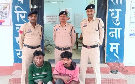 ऑन-ड्यूटी वनकर्मियों से मारपीट मामले में घरघोड़ा पुलिस की सख्त कार्रवाई, 5 व्यक्तियों पर कार्रवाई कर भेजा जेल