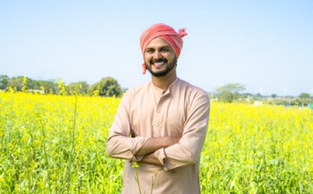 रायगढ़ में धान उत्पादन का नया रिकॉर्ड, लेकिन खरीदी नीति पर उठे सवाल