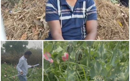 “ऑपरेशन आघात” के तहत तमनार में अफीम की अवैध खेती पर बड़ी कार्रवाई