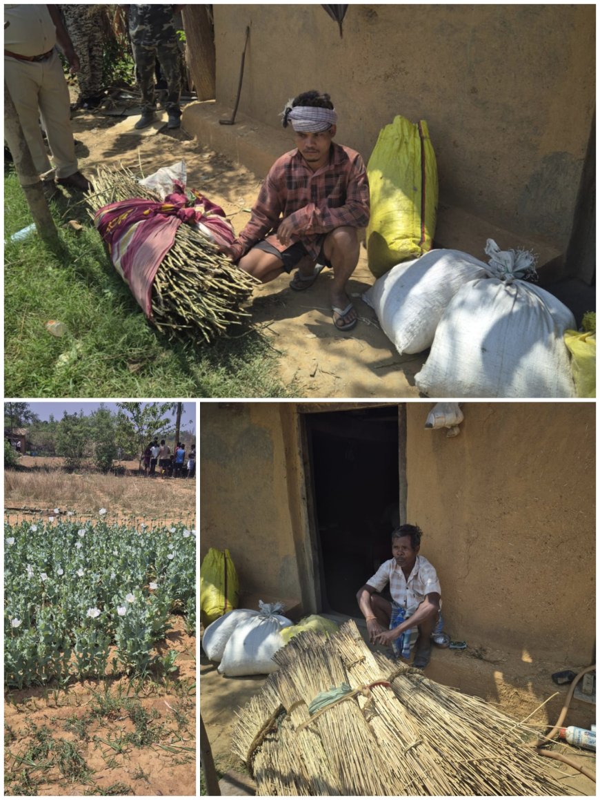 लैलूंगा में अफीम की खेती मामले में आया नया मोड़