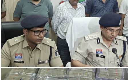 ऑनलाइन क्रिकेट सट्टा के सबसे बड़े सिंडिकेट का पर्दाफाश, ब्लैक मनी को हवाला के नोट से व्हाइट करने वाले संगठित गिरोह पर रायगढ़ पुलिस की ऐतिहासिक कार्रवाई