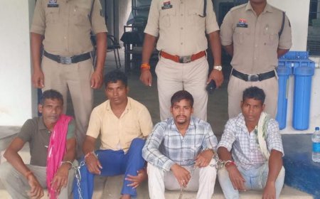 महिला के घर में घुसकर कपड़े खींचकर छेड़खानी करने का आरोप, सरपंच समेत चार आरोपी पहुंचे जेल