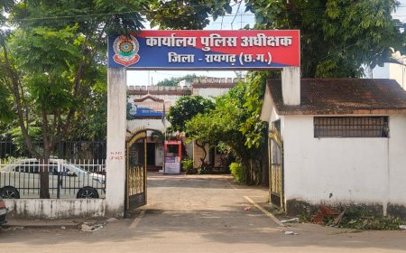 मुख्य मार्ग पर दो पक्षों के बीच मारपीट और गाली-गलौज के वायरल वीडियो पर रायगढ़ पुलिस का सख्त एक्शन